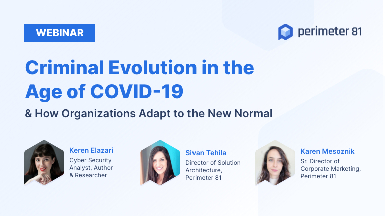 Webinar Recap: Criminal Evolution in the Age of COVID-19 & How Organizations Adapt to the New Normal